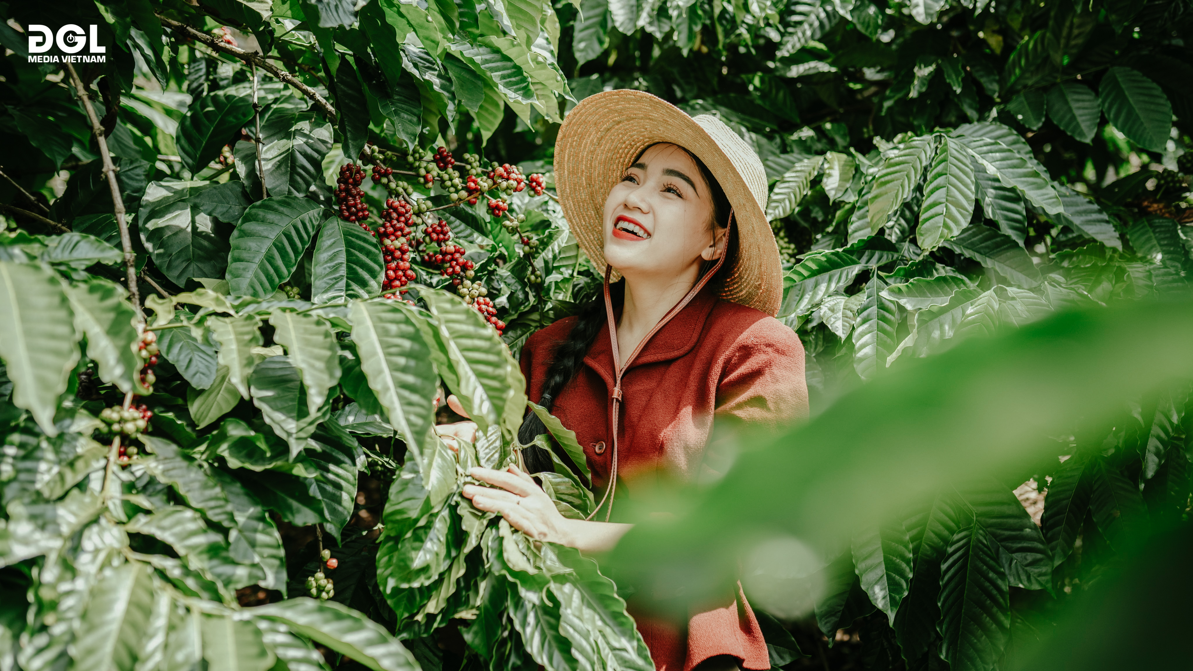 Trải nghiệm hái chế biến Cà Phê tại Đắk Nông - Sunny Việt Nam